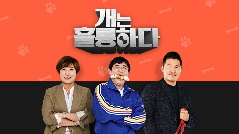 강형욱 '갑질' 의혹에 '개는 훌륭하다' 오늘(20일) 결방