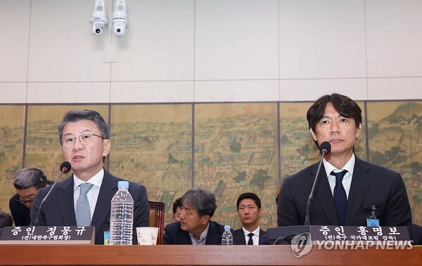 이임생 이래서 빠졌나... 결국 해소되지 못한 축구 대표팀 감독 선임 과정 논란