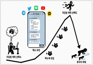 증선위, 불법 주식 리딩방 운영 '핀플러언서'들 검찰 고발