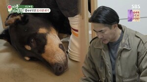<b>배정남 반려견 벨</b>, <b>악성종양</b>으로 3년 만에 다시 수술대에…"아프지 말자...