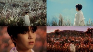 <b>임영웅</b>, '<b>알겠어요 미안해요</b>' MV 공개…눈물 흘릴 듯 애절 감성 연기